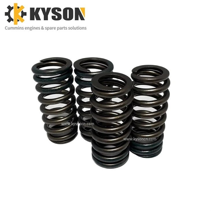 Valve Spring (3)